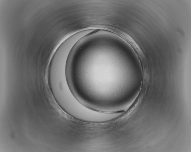 X0000113130908200909041145