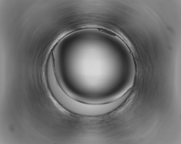 X0000113130909200909041145