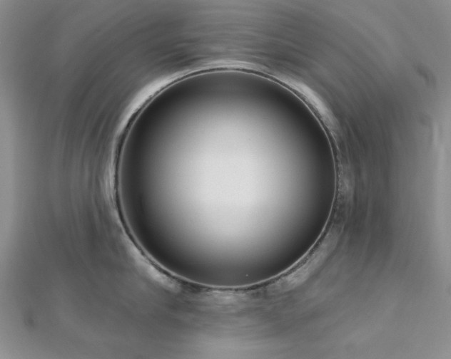 X0000113130910200909041145