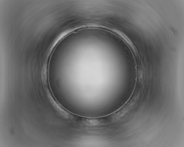 X0000113130911200909041145