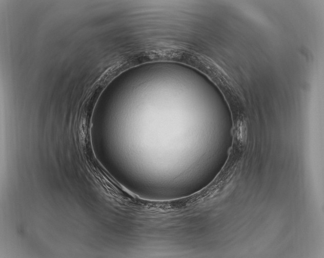X0000113130915200909041144