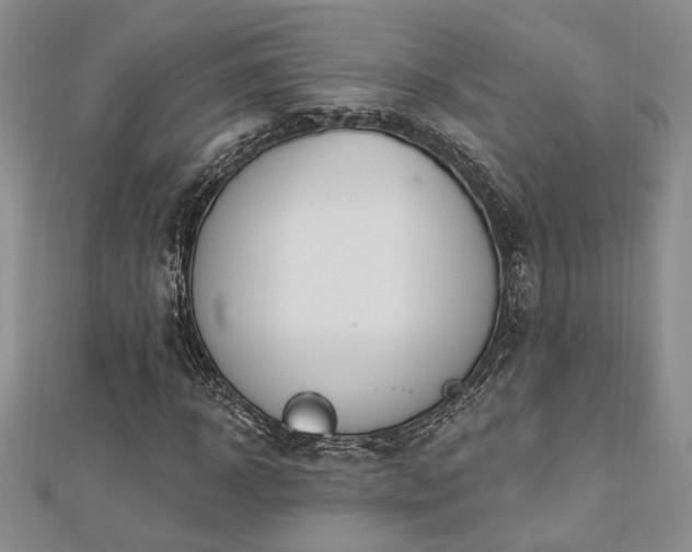X0000113130918200909041144