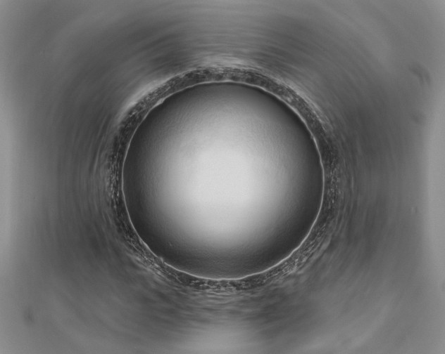 X0000113130919200909041144