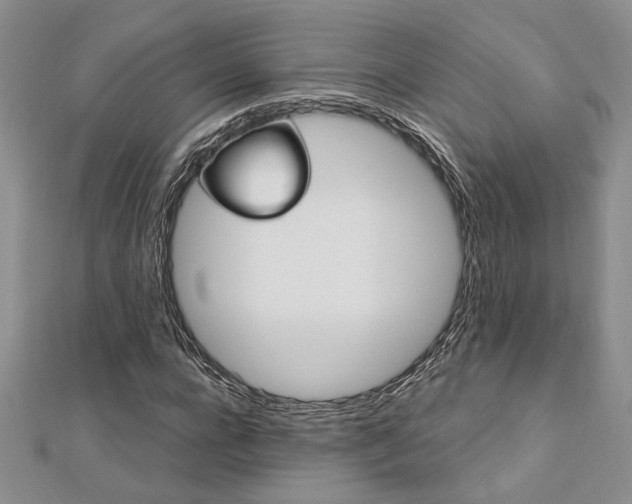 X0000113130920200909041144