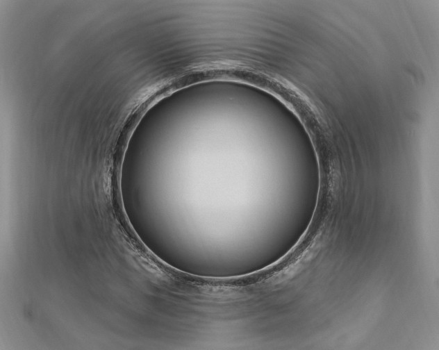 X0000113130921200909041144
