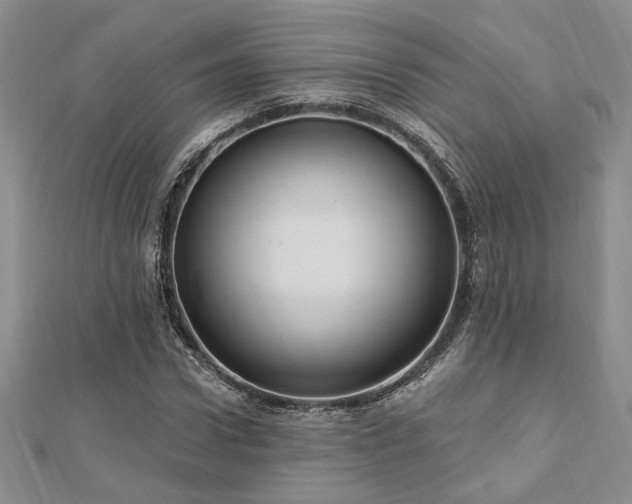 X0000113130922200909041144