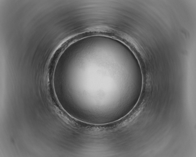 X0000113130923200909041144