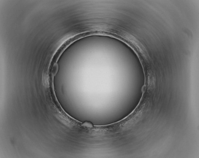 X0000113130924200909041144