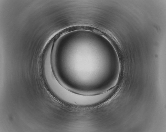 X0000113130926200909041144