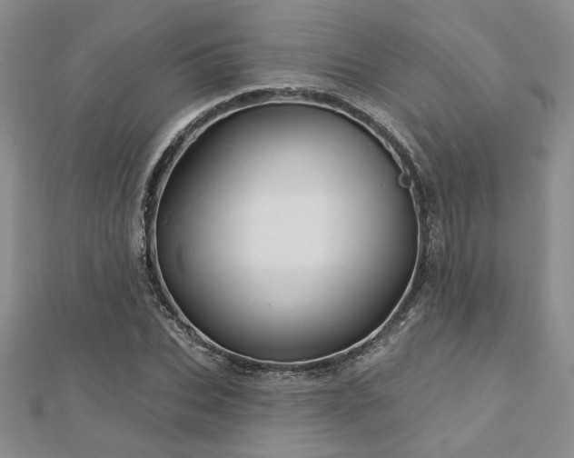 X0000113130927200909041144