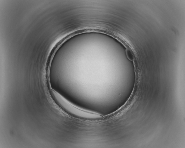 X0000113130928200909041144