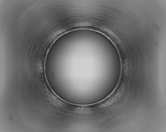 X0000113130929200909041144