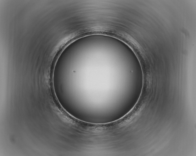 X0000113130930200909041144
