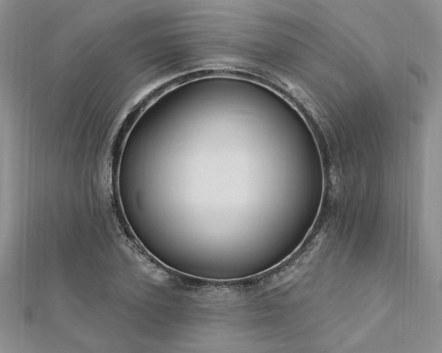 X0000113130931200909041144