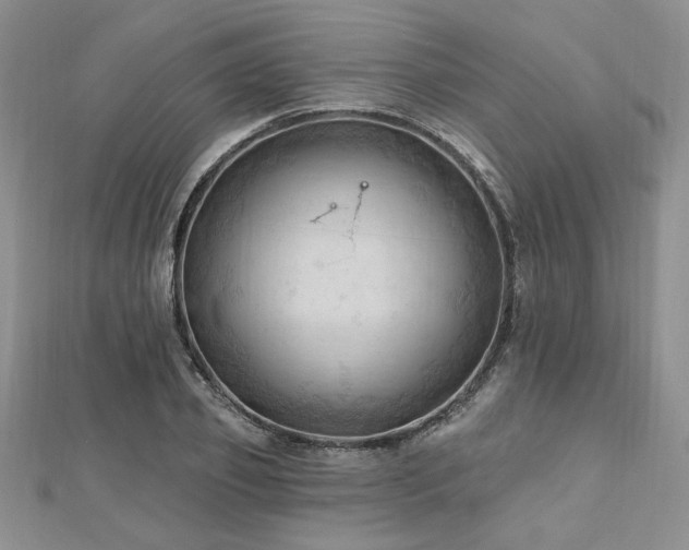 X0000113130933200909041144