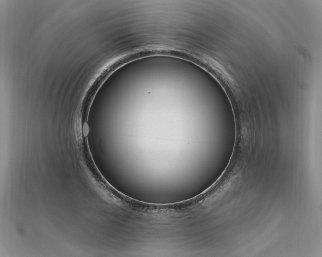 X0000113130934200909041144