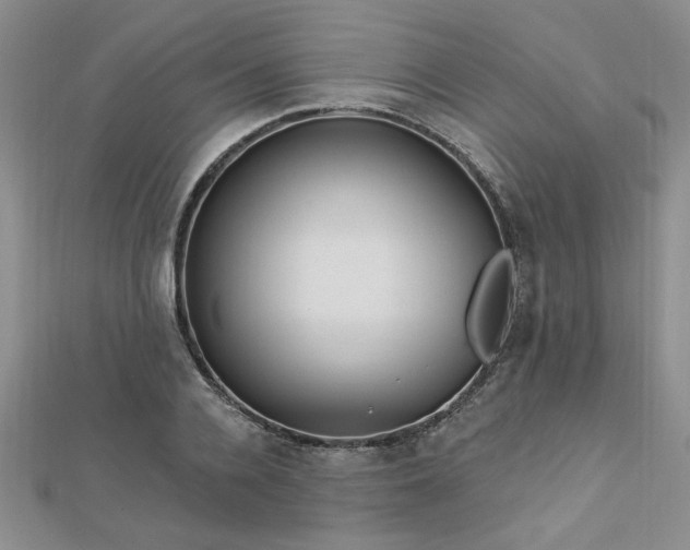 X0000113130936200909041144