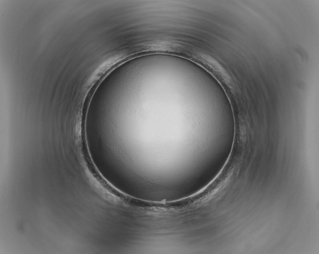 X0000113130938200909041144