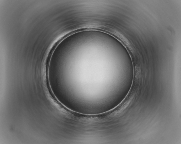 X0000113130939200909041144