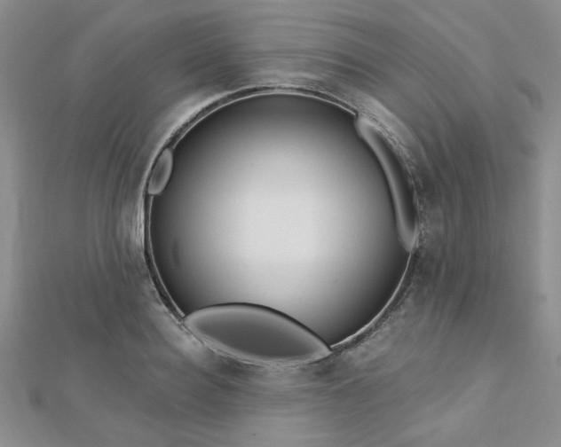 X0000113130940200909041144