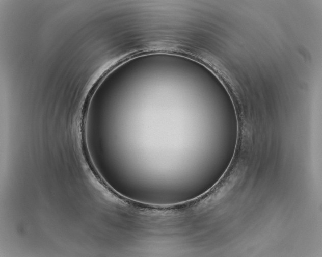 X0000113130941200909041144