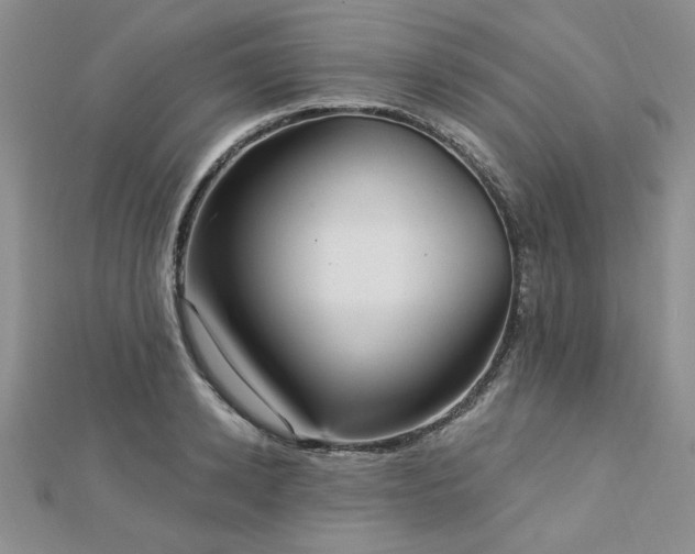 X0000113130942200909041144