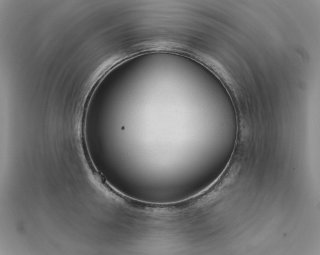 X0000113130946200909041144
