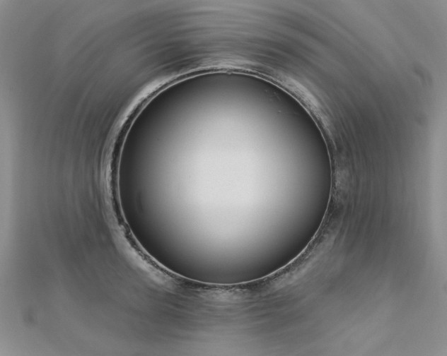 X0000113130947200909041144