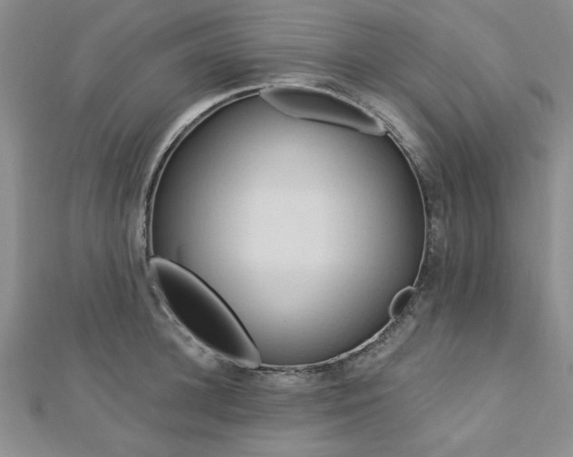 X0000113130948200909041144