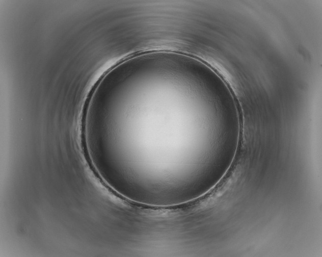 X0000113130949200909041144