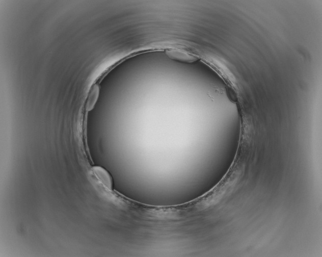 X0000113130952200909041144
