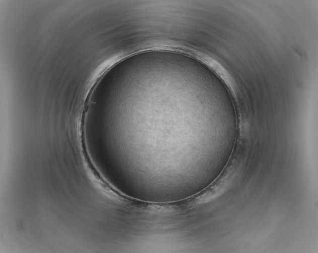 X0000113130954200909041144