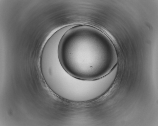 X0000113130956200909041145