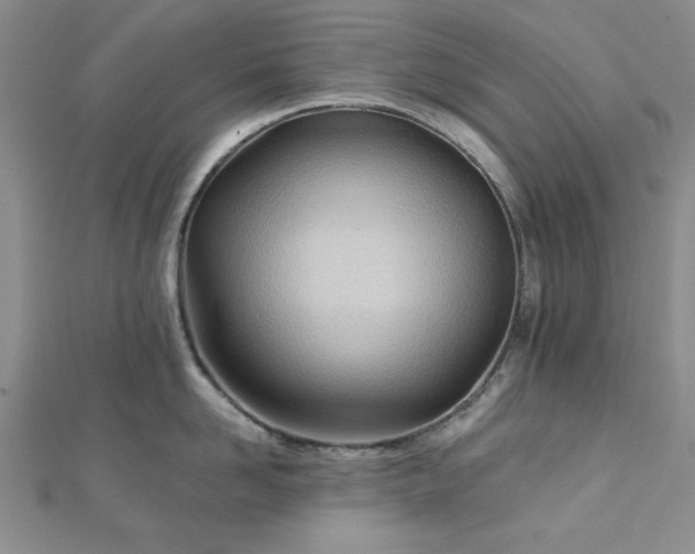 X0000113130958200909041145