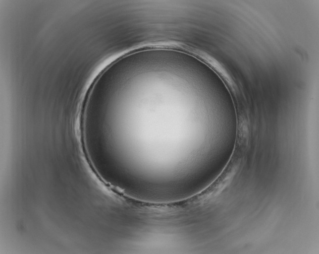 X0000113130959200909041145