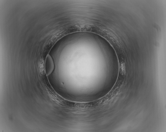 X0000113130963200909041144