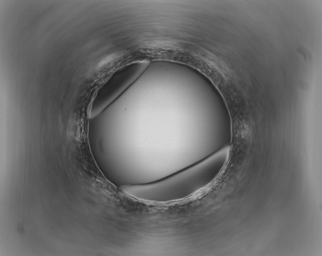 X0000113130965200909041144