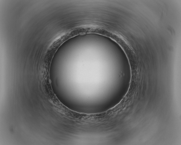 X0000113130967200909041144