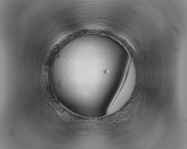X0000113130968200909041144