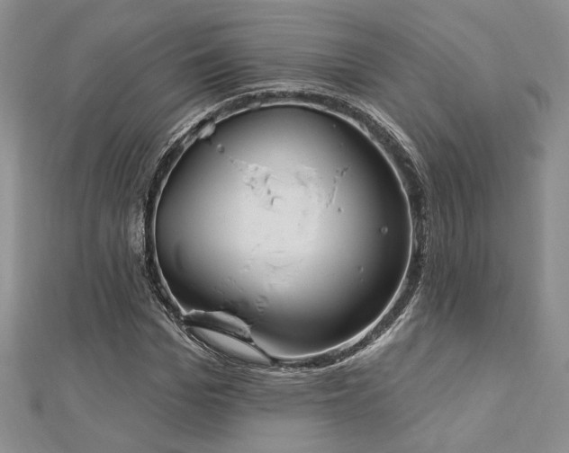 X0000113130969200909041144
