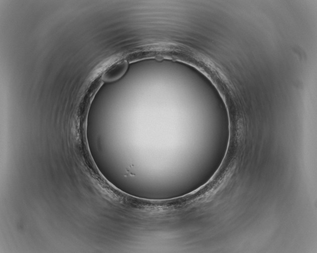 X0000113130970200909041144