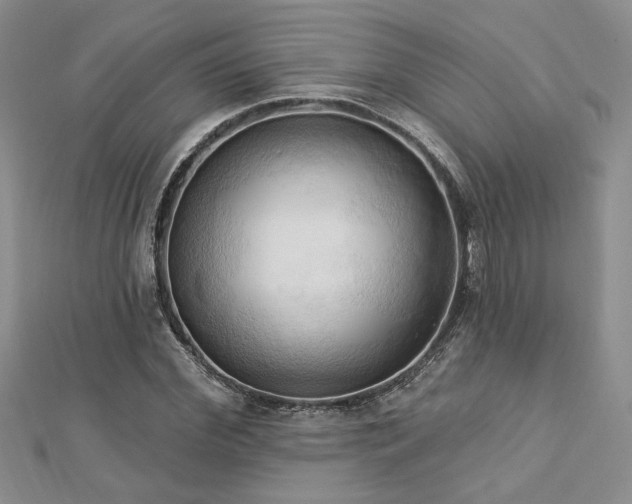 X0000113130972200909041144