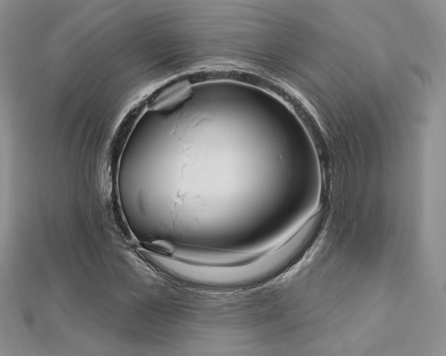 X0000113130973200909041144