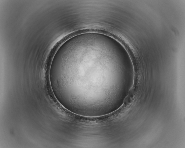 X0000113130975200909041144