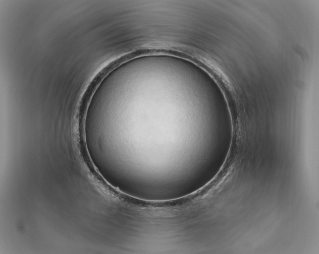 X0000113130976200909041144