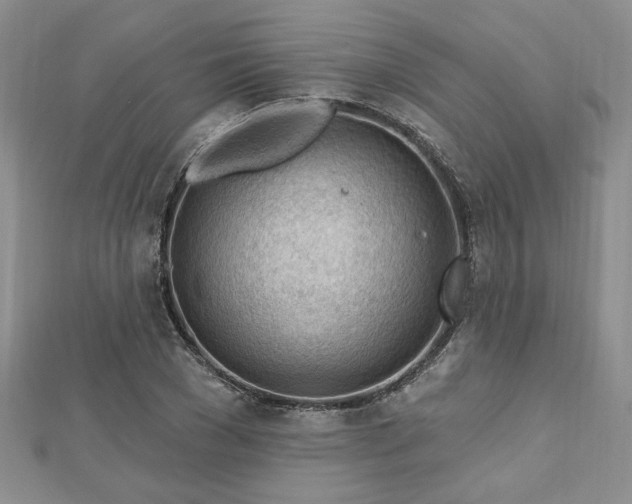 X0000113130977200909041144