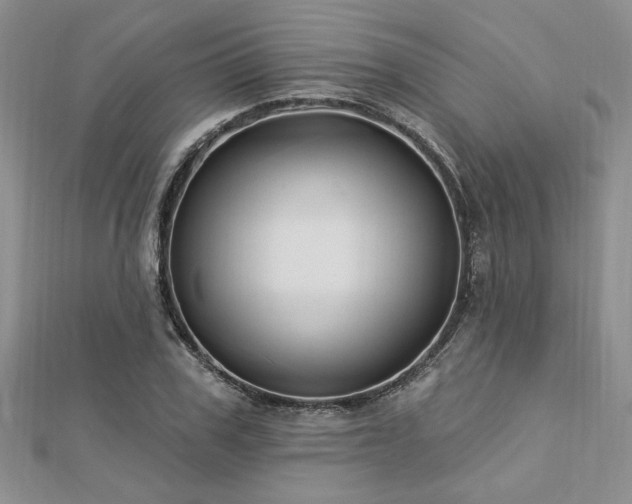 X0000113130979200909041144