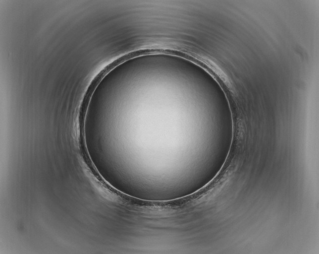 X0000113130980200909041144