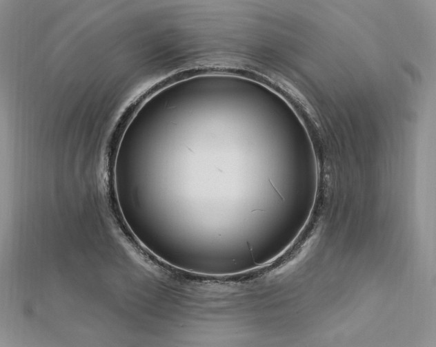 X0000113130981200909041144