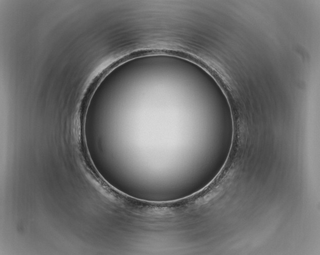 X0000113130982200909041144